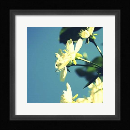 Framed Summer Blossom I Print
