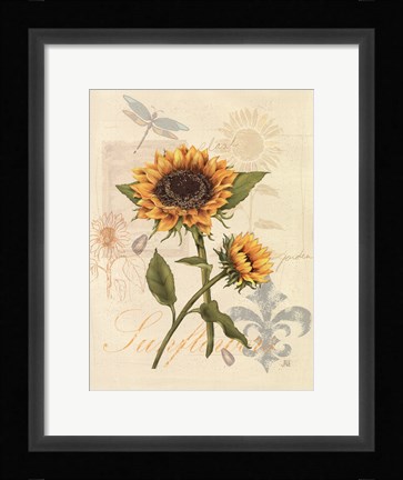 Framed Romantic Sunflower II Print
