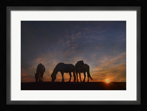 Framed Camargue Sunrise Print