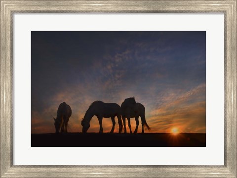 Framed Camargue Sunrise Print