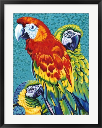 Framed Birds in Paradise III Print