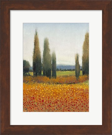 Framed Cypress Trees II Print