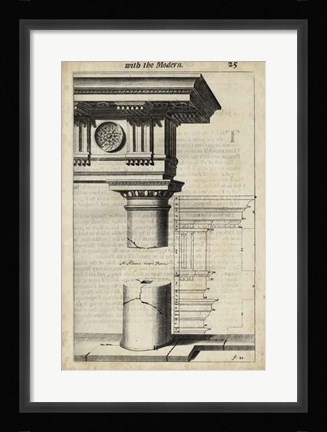 Framed Ancient Architecture IV Print