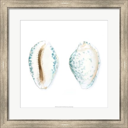 Framed Watercolor Shells VI Print