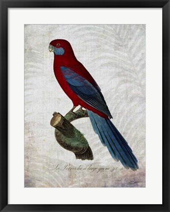 Framed Parrot Jungle II Print