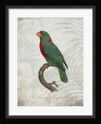 Framed Parrot Jungle VI Print