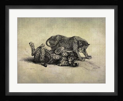 Framed Big Cats II Print