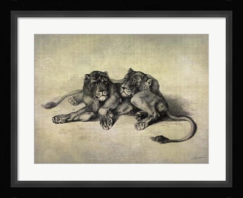 Framed Big Cats III Print