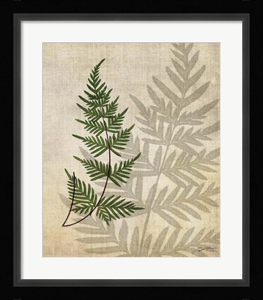 Framed British Ferns III Print