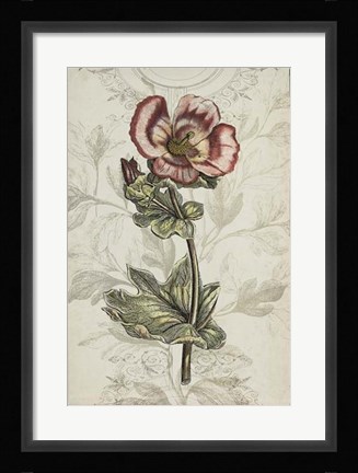 Framed Keepsake Floral I Print