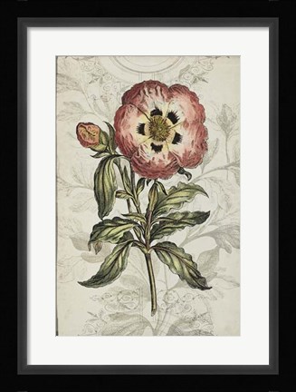 Framed Keepsake Floral II Print