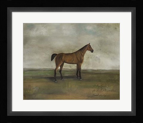 Framed Bay Hunter Print