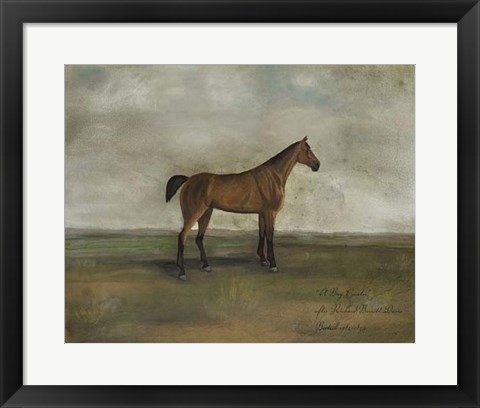 Framed Bay Hunter Print