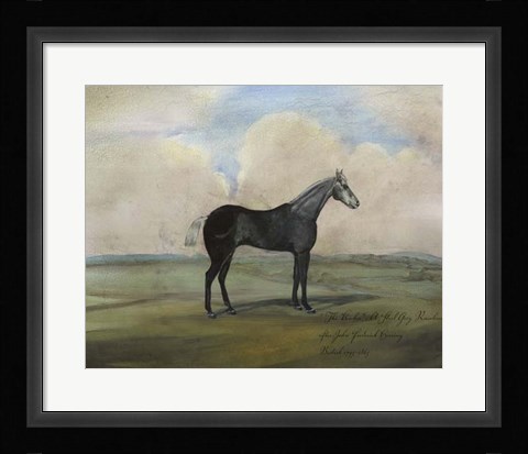 Framed ""The Kicker,"" A Steel Grey Racehorse Print