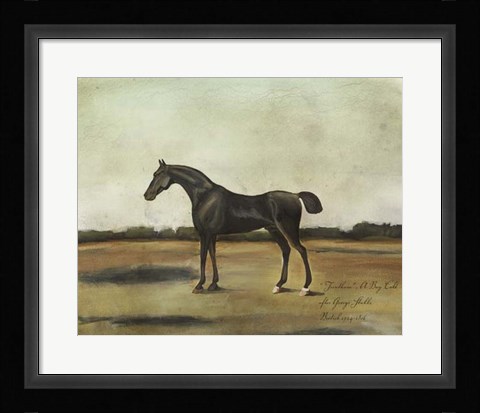 Framed ""Trentham,"" A Bay Colt Print