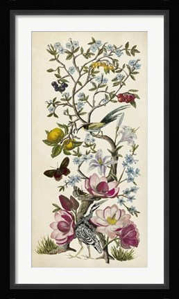 Framed Chinoiserie Natura II Print