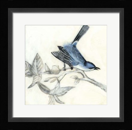 Framed Rustic Aviary III Print