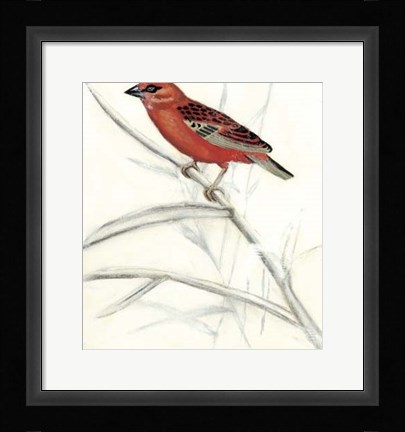 Framed Rustic Aviary IV Print