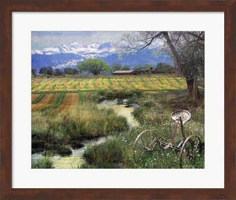 Framed Idyllic Farm I Print