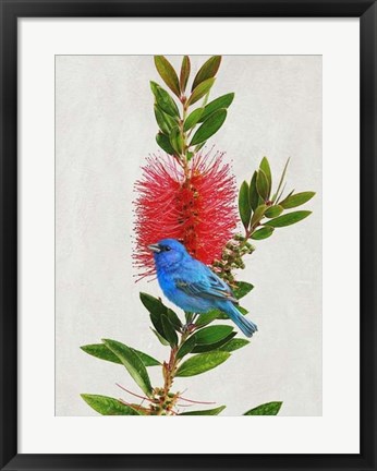 Framed Avian Tropics III Print