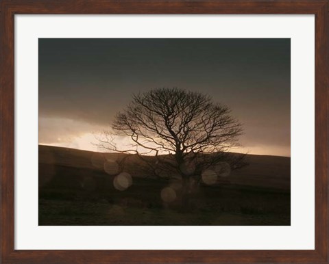 Framed Stormy Sunset II Print