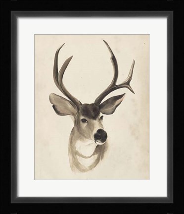 Framed Watercolor Animal Study II Print