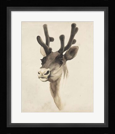 Framed Watercolor Animal Study III Print