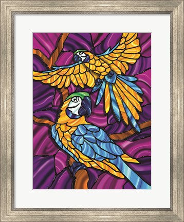 Framed Parrot A Print