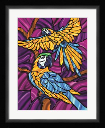 Framed Parrot A Print