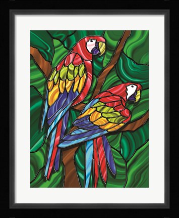 Framed Parrot B Print