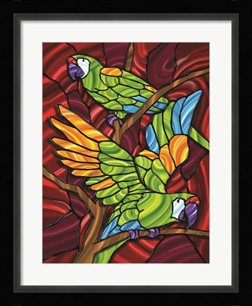 Framed Parrot D Print