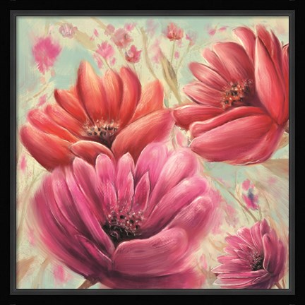 Framed Pink Poppy Bloom Print