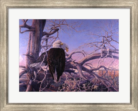 Framed Bald Eagles Print