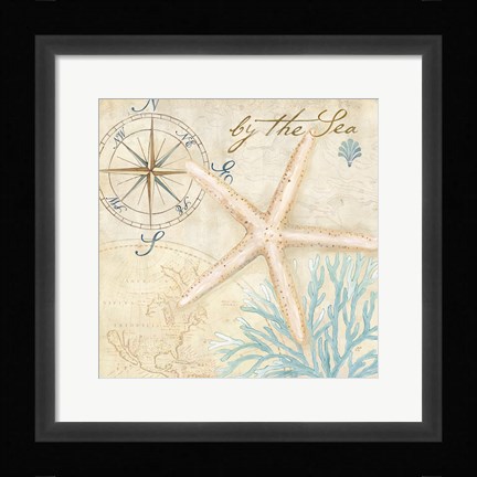 Framed Nautical Shells I Print