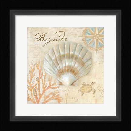 Framed Nautical Shells II Print