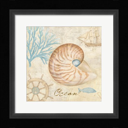 Framed Nautical Shells III Print
