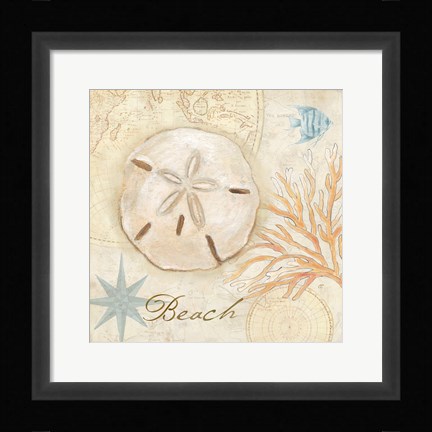 Framed Nautical Shells IV Print