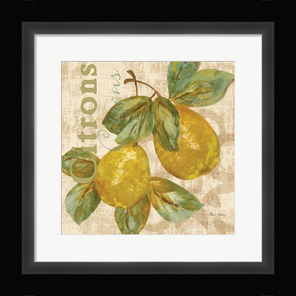 Framed Rustic Fruit III Print