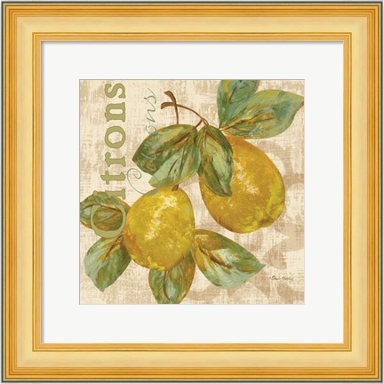 Framed Rustic Fruit III Print