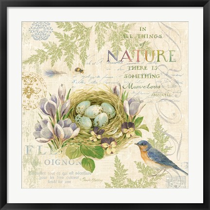 Framed Nature Trail I Print