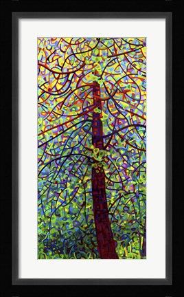 Framed Kaleidoscope Print