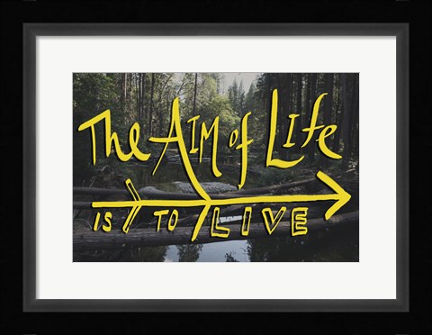 Framed Aim of Life Print