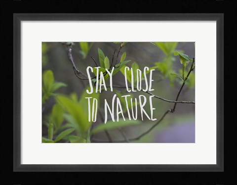 Framed Nature Print