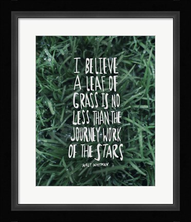 Framed Leaf Of Grass Print