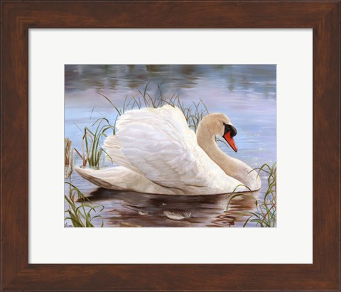 Framed Swan Print