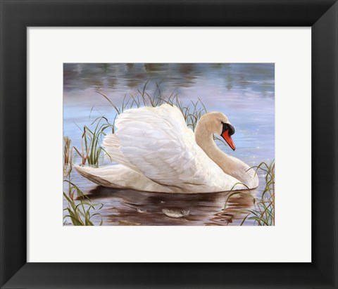 Framed Swan Print