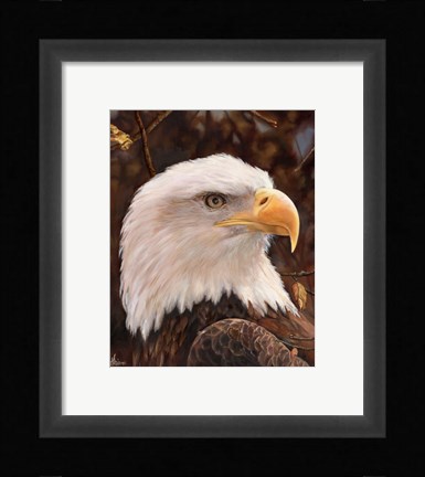 Framed Eagle Print