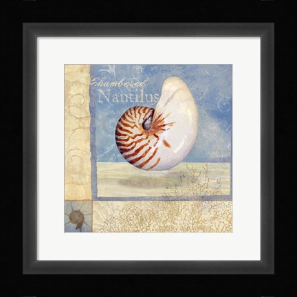 Framed Ocean Beauties V Print