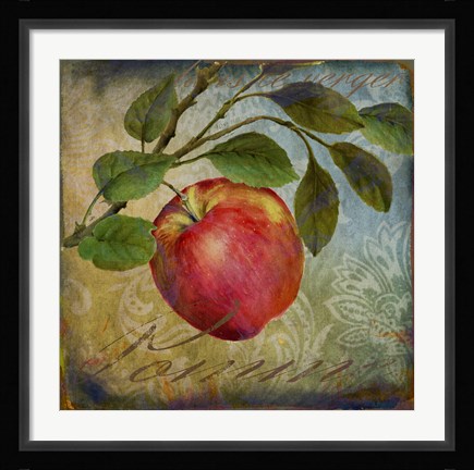 Framed From The Grove Apple Print