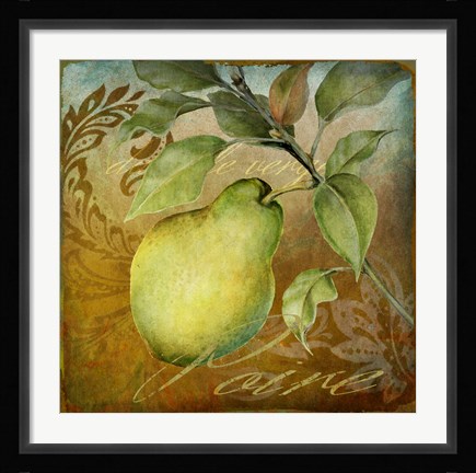 Framed From The Grove Pear Print